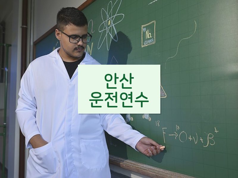 안산운전연수 후기