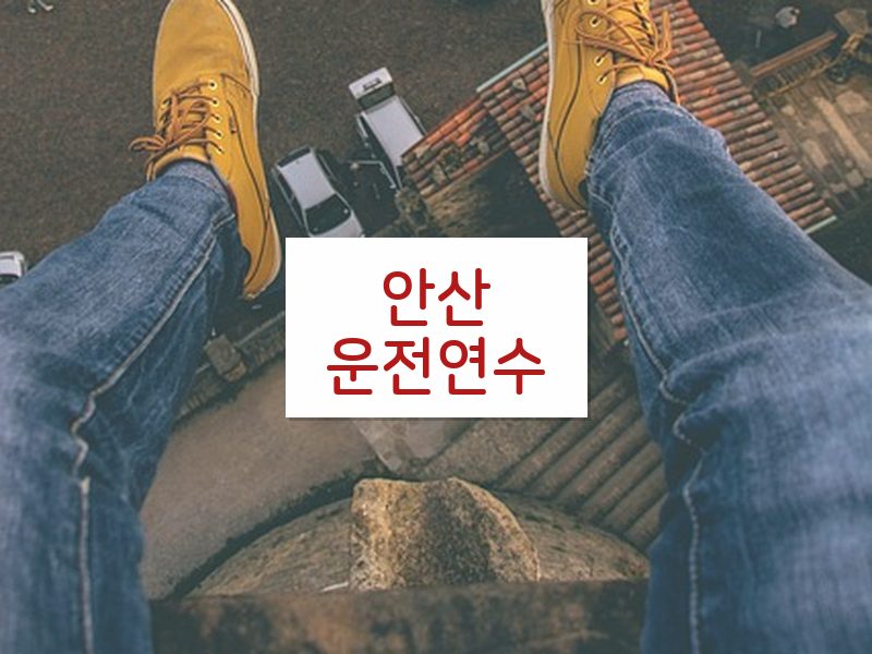 안산운전연수 후기