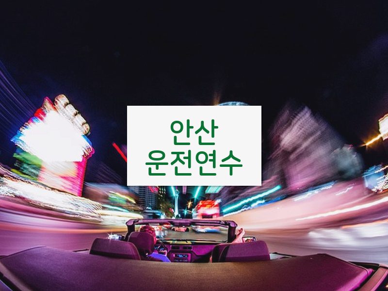 안산운전연수 후기