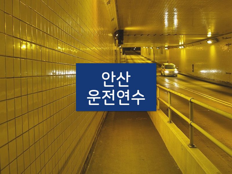 안산운전연수 후기