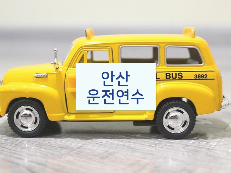 안산운전연수 후기