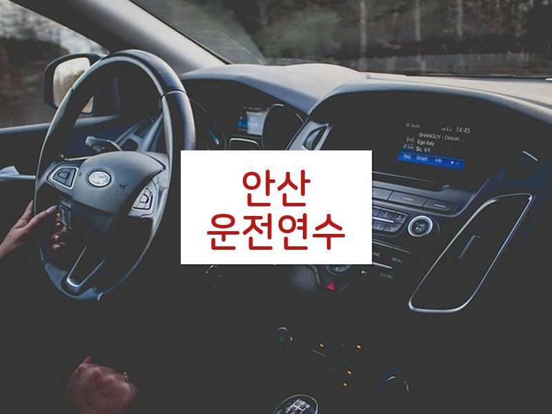안산운전연수 후기