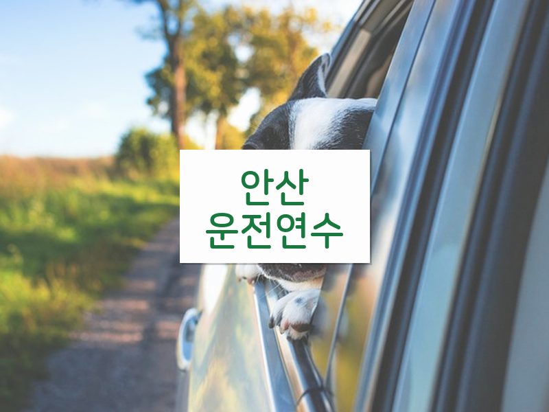 안산운전연수 후기