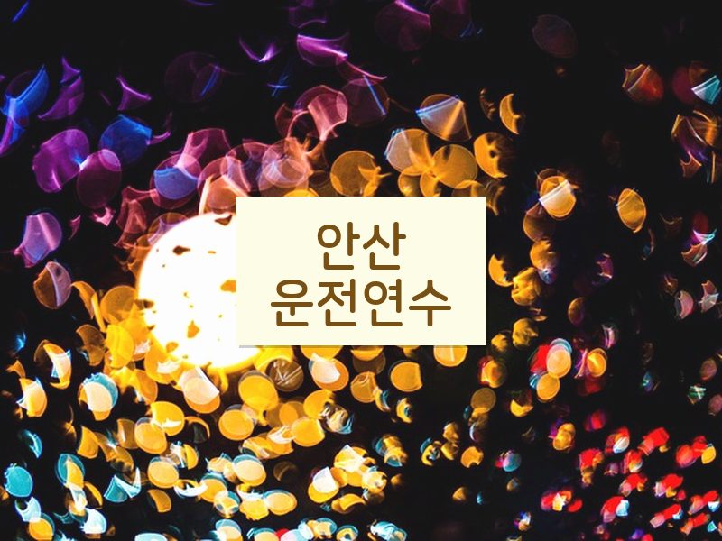 안산운전연수 후기