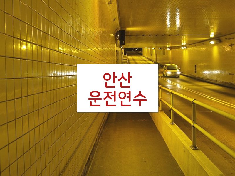 안산운전연수 후기