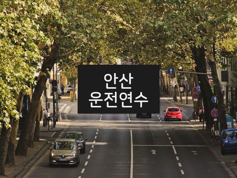 안산운전연수 후기
