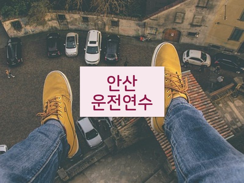 안산운전연수 후기