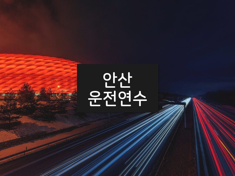 안산운전연수 후기