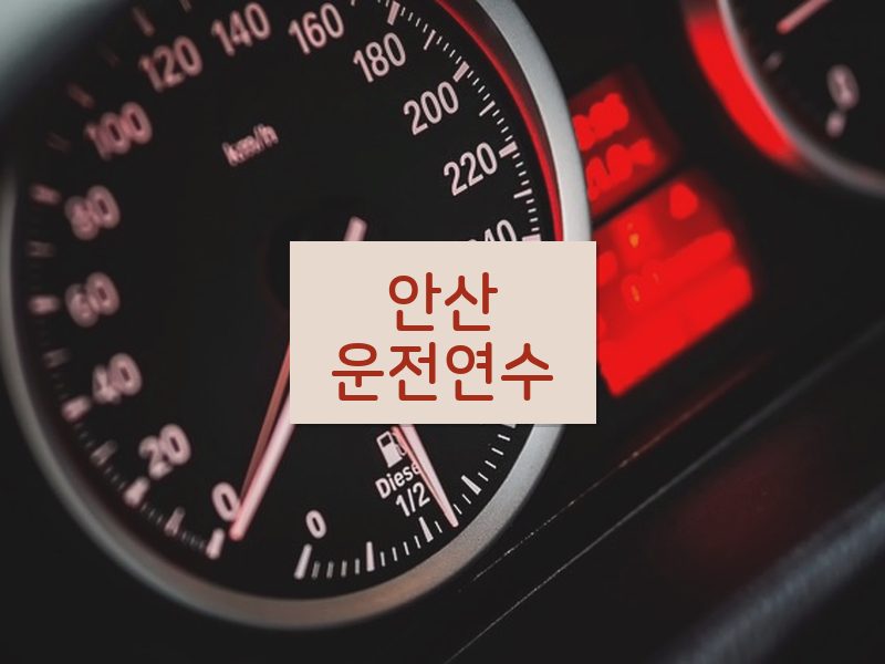안산운전연수 후기