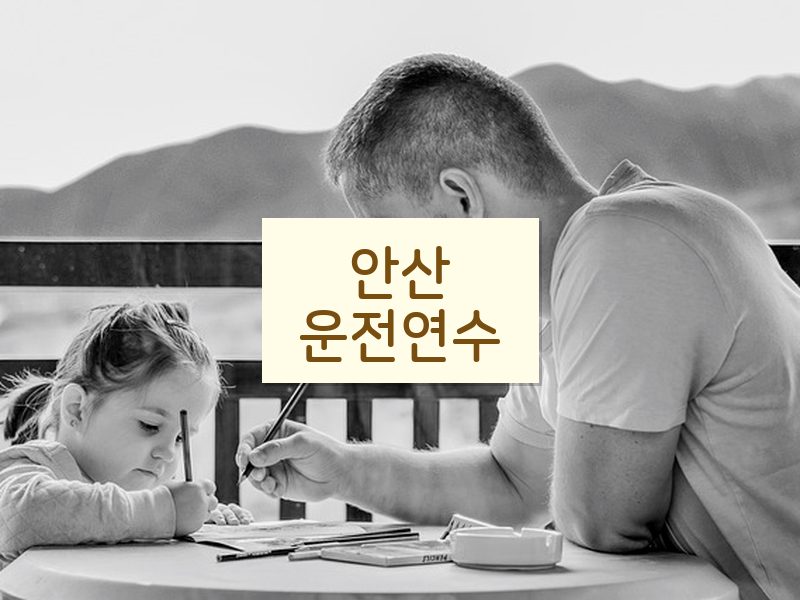 안산운전연수 후기