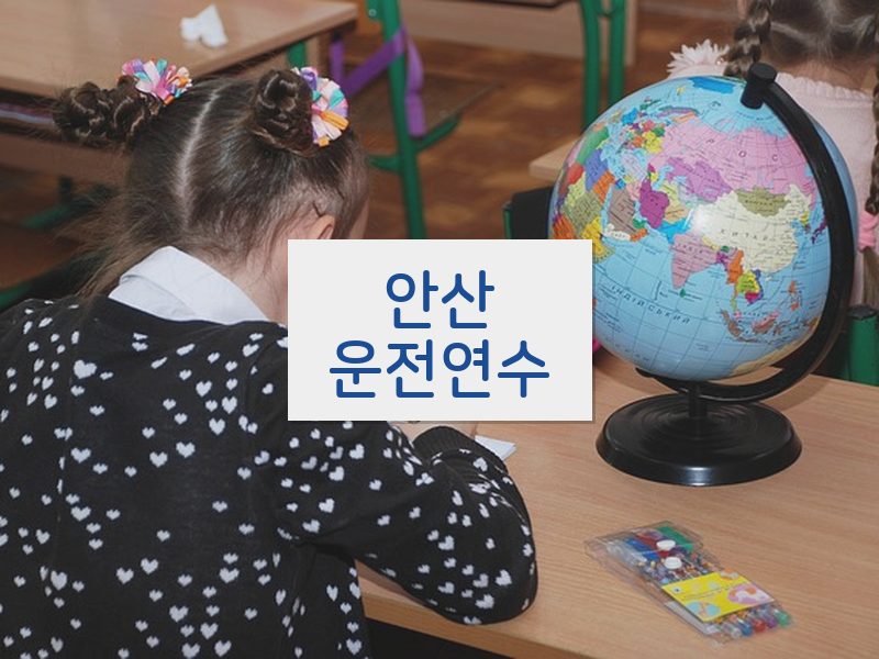 안산운전연수 후기