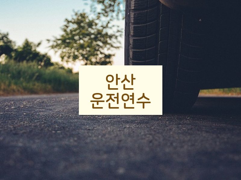 안산운전연수 후기