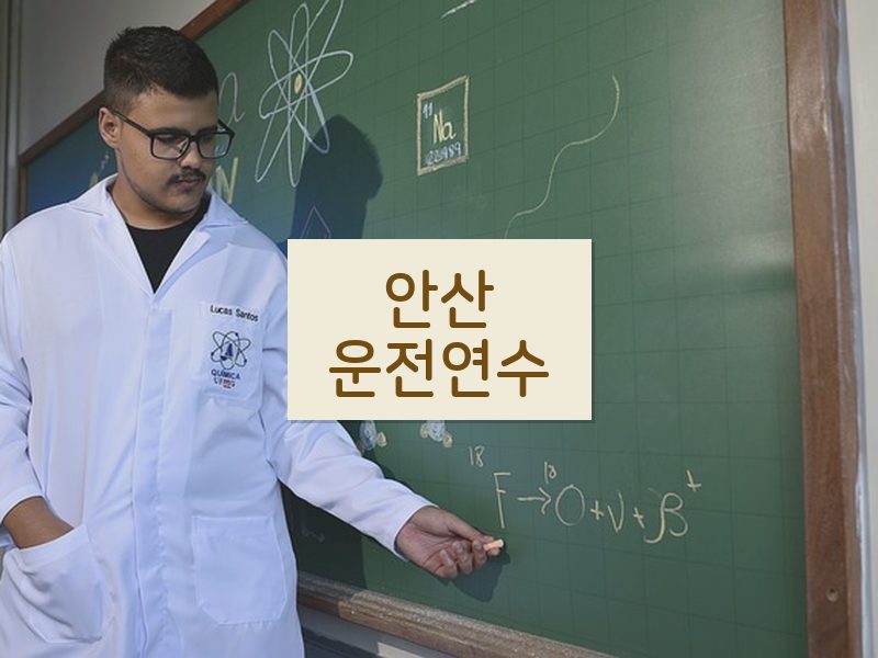 안산운전연수 후기