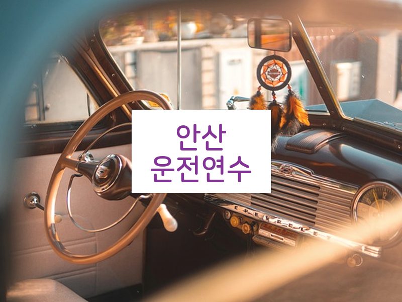 안산운전연수 후기