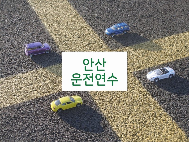 안산운전연수 후기