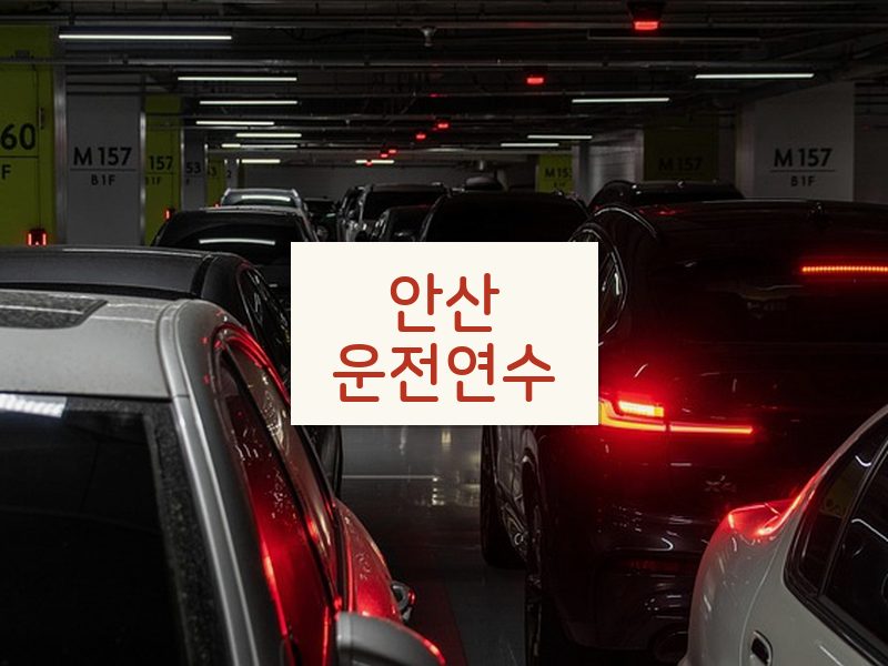 안산운전연수 후기