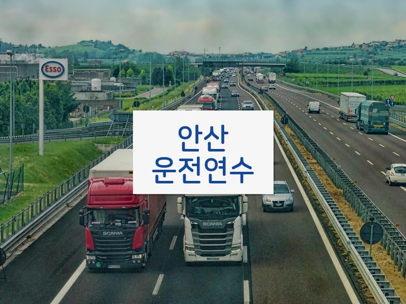 안산운전연수 후기