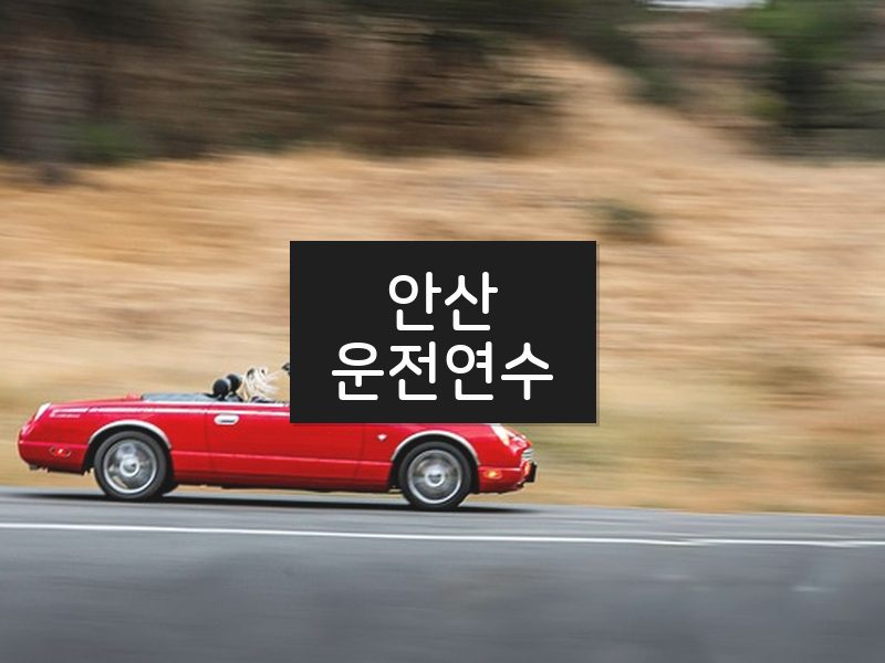 안산운전연수 후기