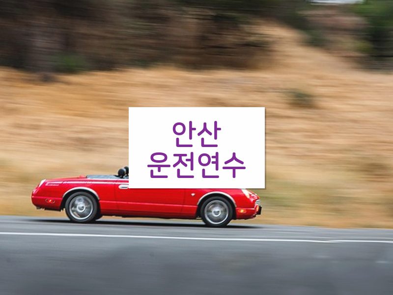 안산운전연수 후기
