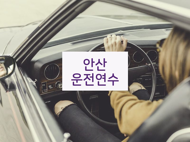 안산운전연수 후기