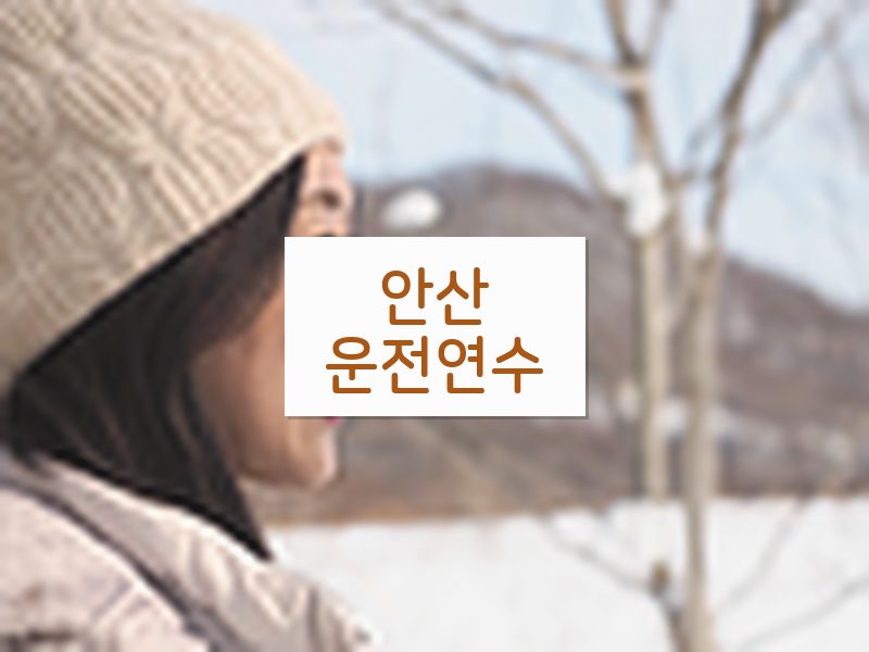 안산운전연수 후기