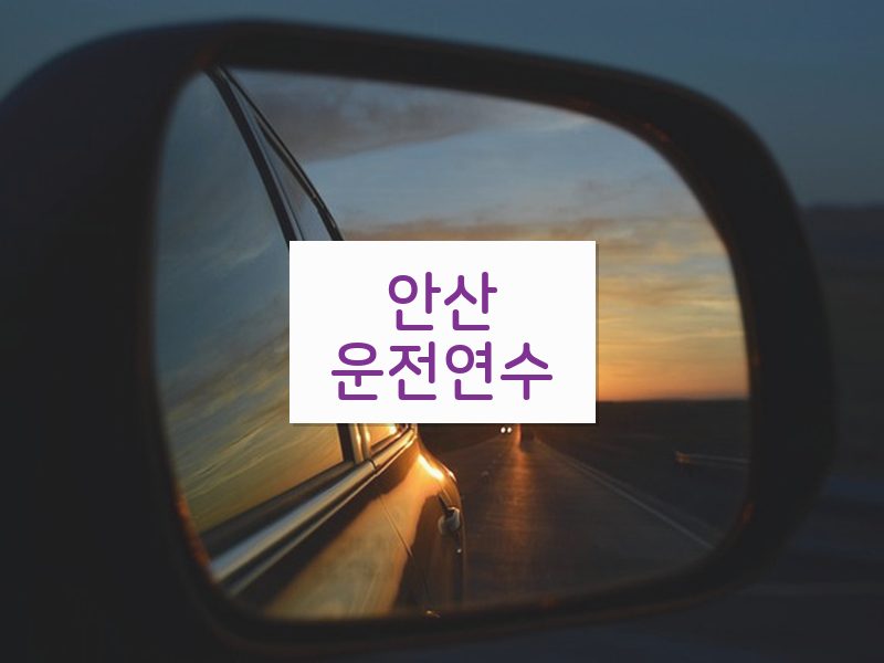 안산운전연수 후기