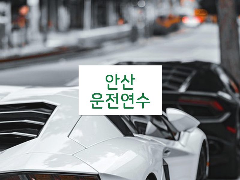 안산운전연수 후기