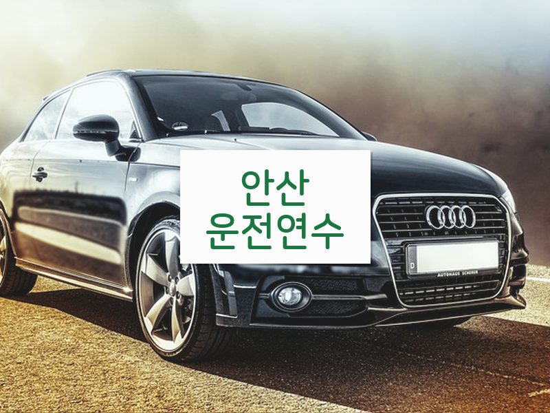 안산운전연수 후기