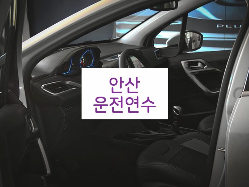 안산운전연수 후기