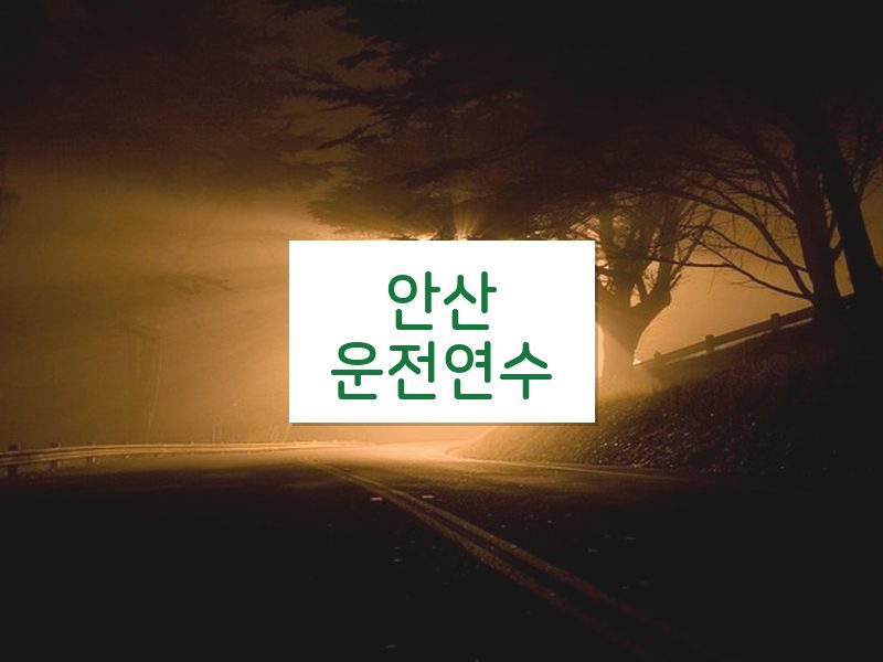 안산운전연수 후기