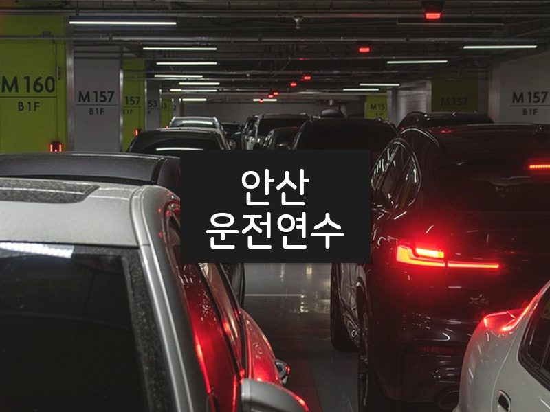 안산운전연수 후기