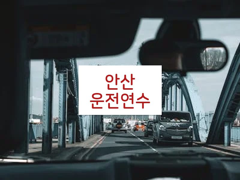 안산운전연수 후기