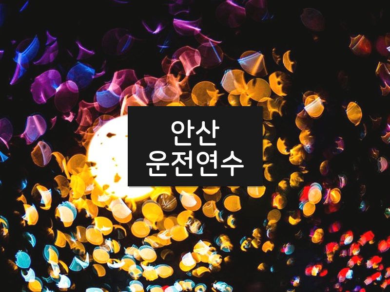 안산운전연수 후기