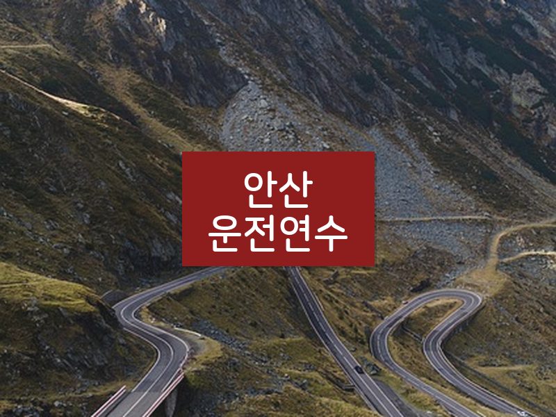 안산운전연수 후기