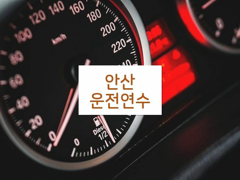 안산운전연수 후기