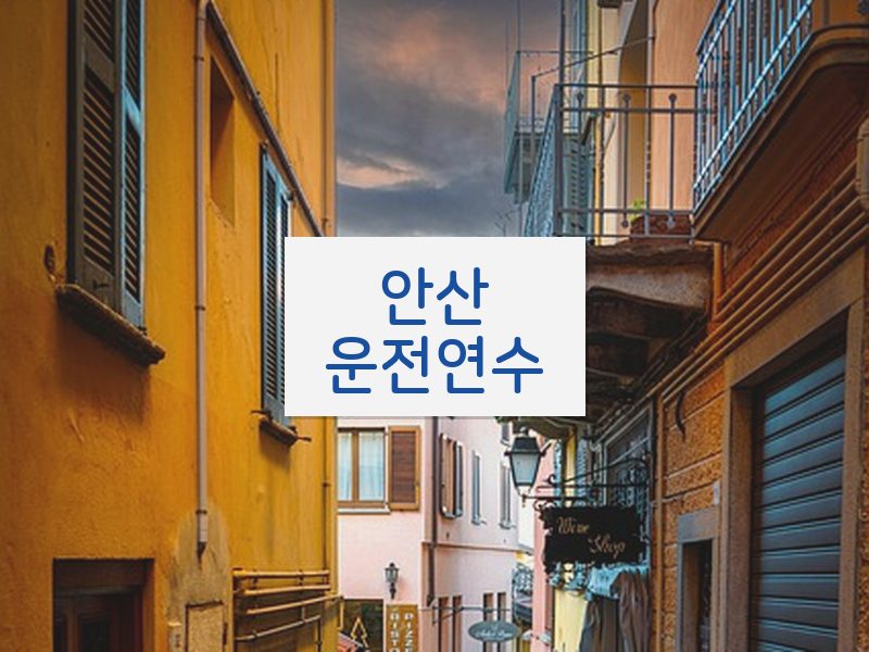 안산운전연수 후기