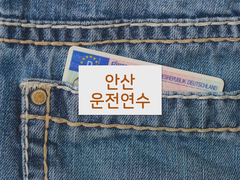안산운전연수 후기