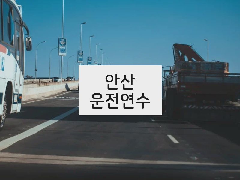 안산운전연수 후기