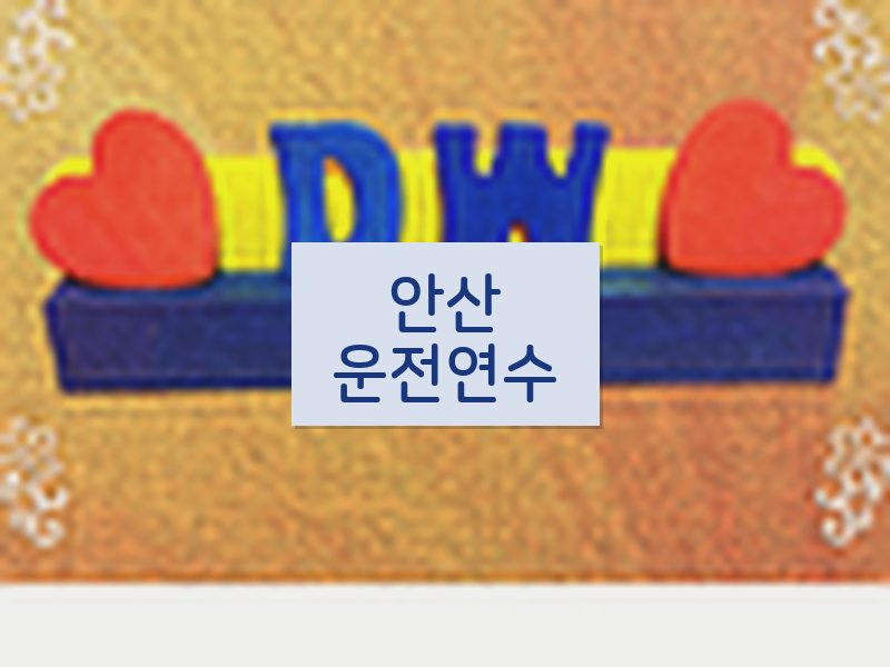 안산운전연수 후기