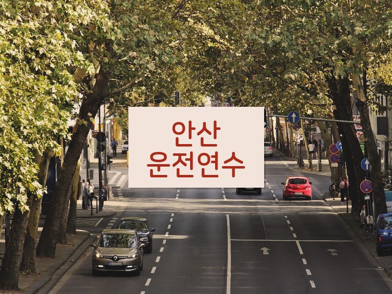 안산운전연수 후기
