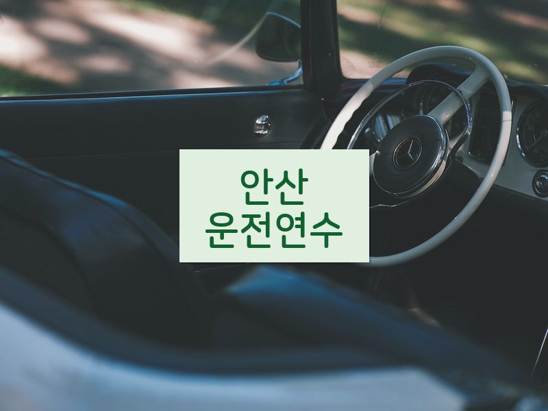 안산운전연수 후기