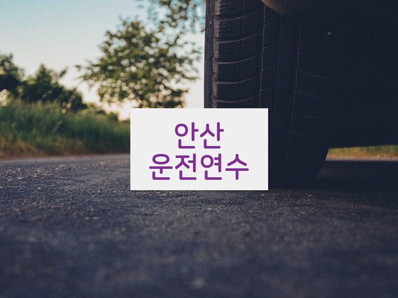 안산운전연수 후기
