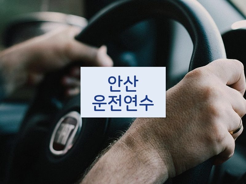 안산운전연수 후기