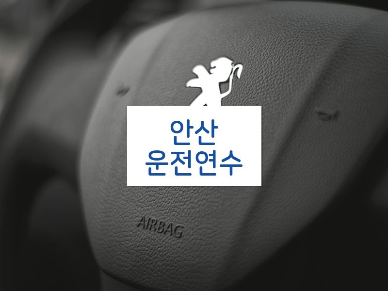 안산운전연수 후기
