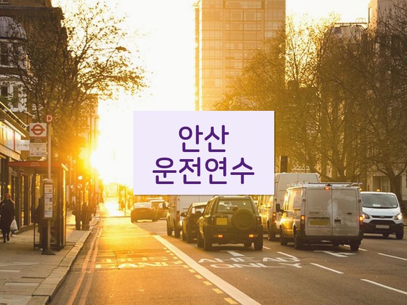 안산운전연수 후기