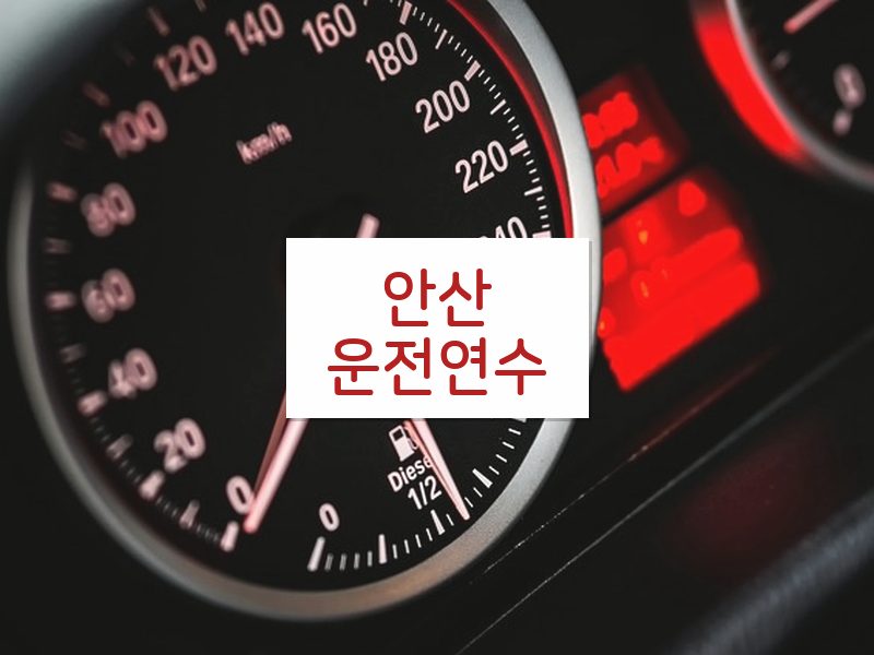 안산운전연수 후기