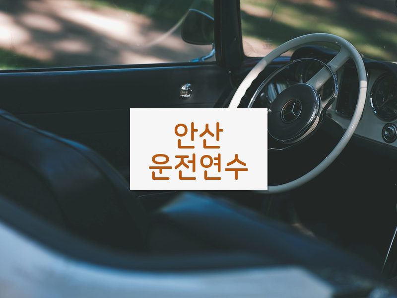 안산운전연수 후기