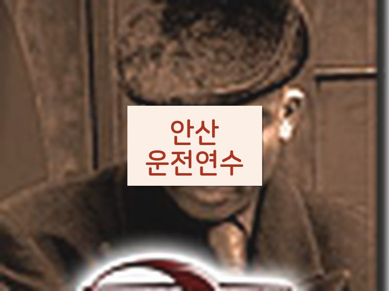 안산운전연수 후기