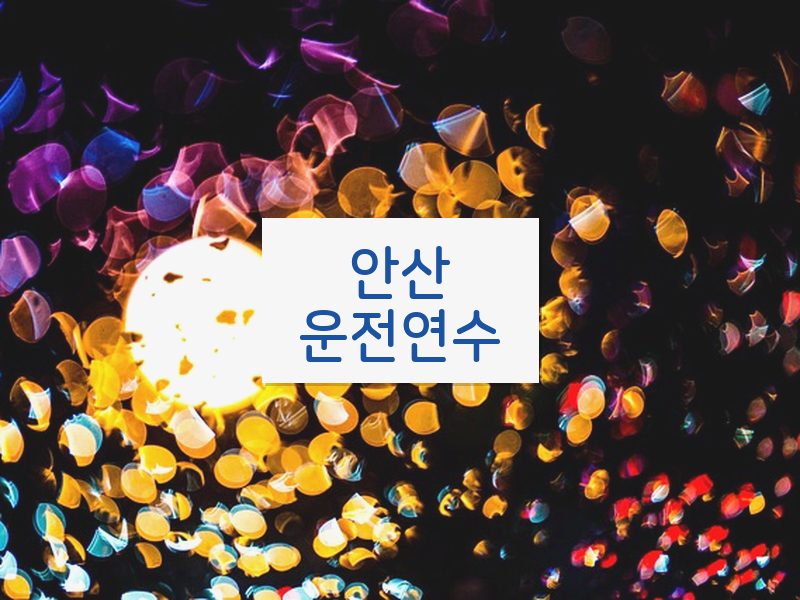 안산운전연수 후기