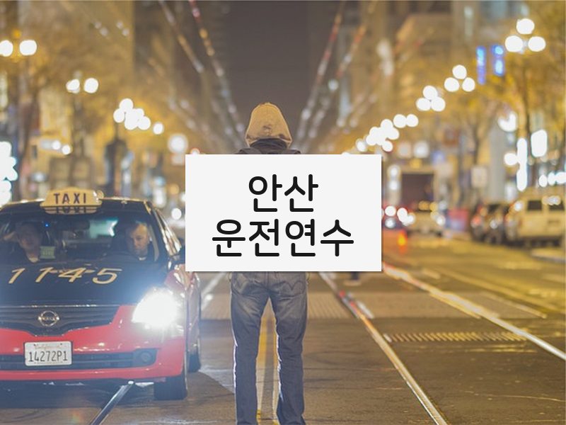 안산운전연수 후기